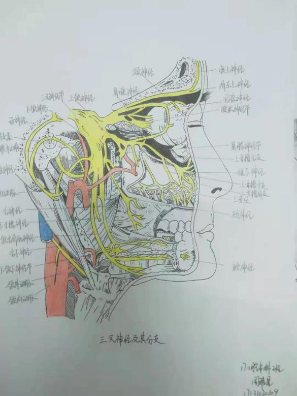 61a5e52d53604b5e8bd162e18c003152.png